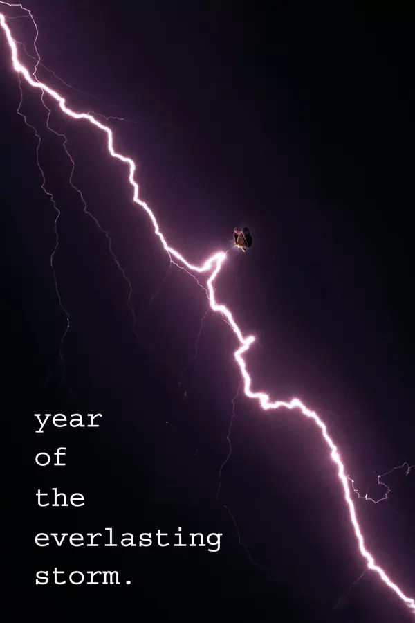 The Year of the Everlasting Storm