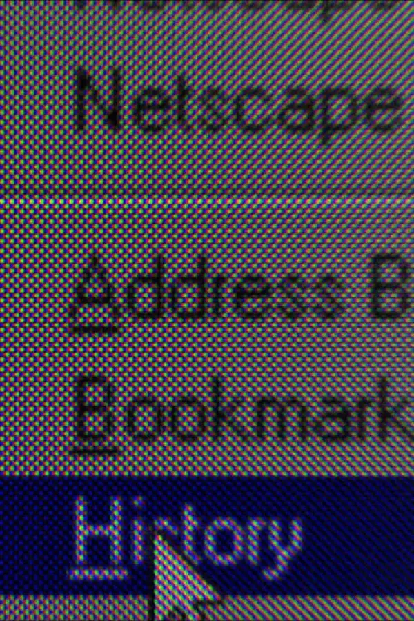 World Wide Woven Bodies