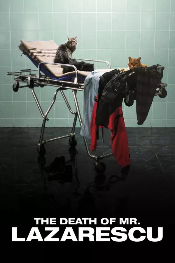 Śmierć pana Lazarescu