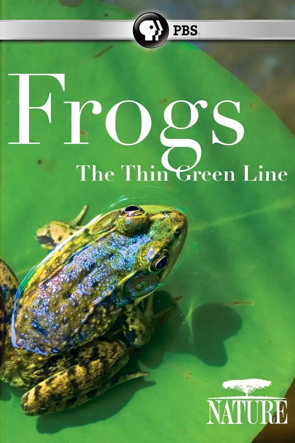 Frogs: The Thin Green Line