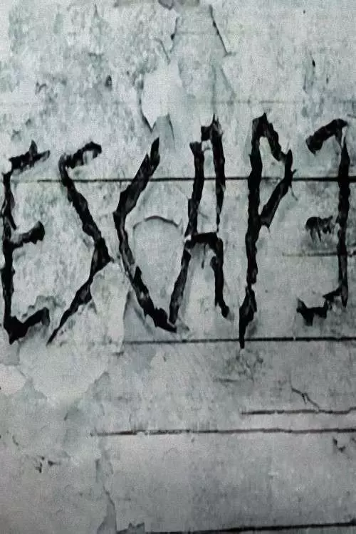 Harold i Kumar uciekają z Guantanamo