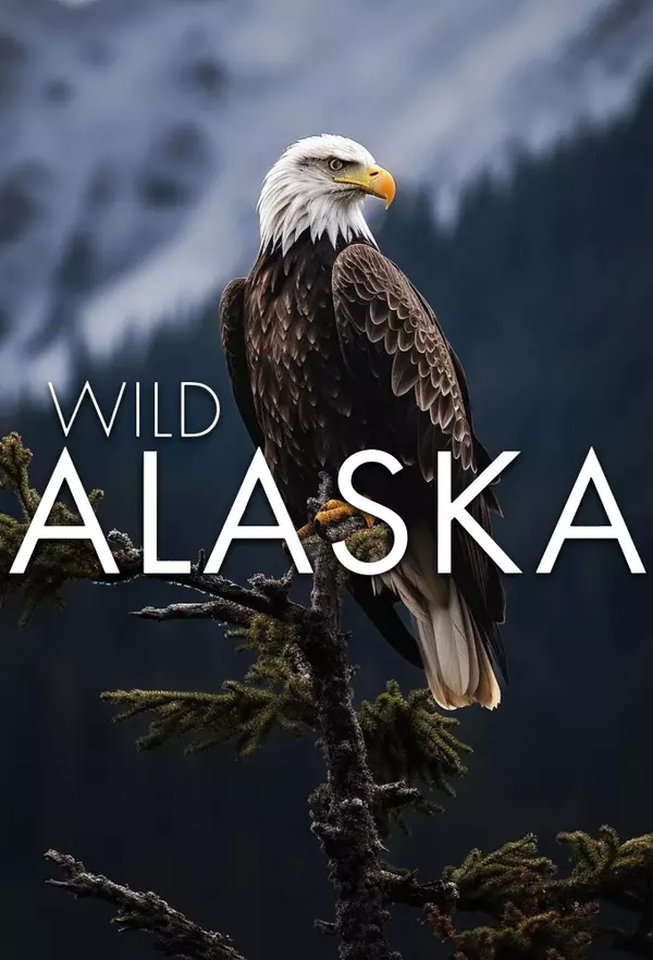 Wild Alaska