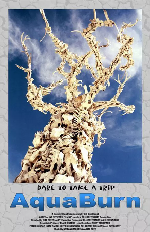 AquaBurn