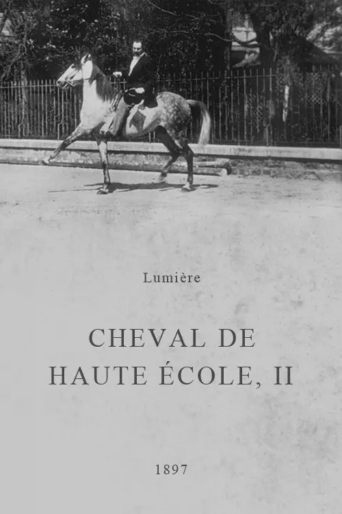Cheval de haute école, II