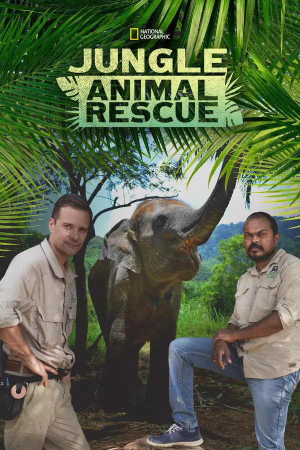 Jungle Animal Rescue