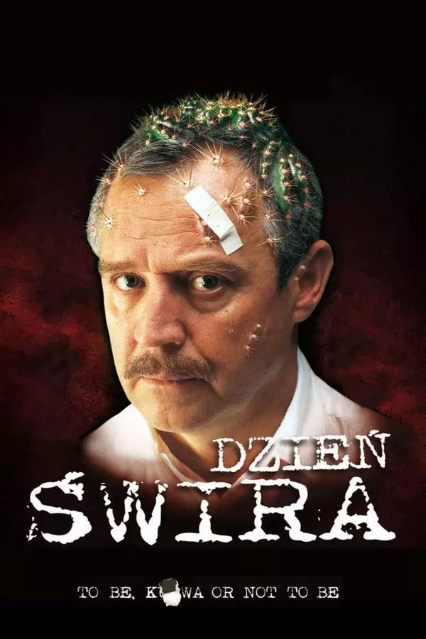 Dzień świra