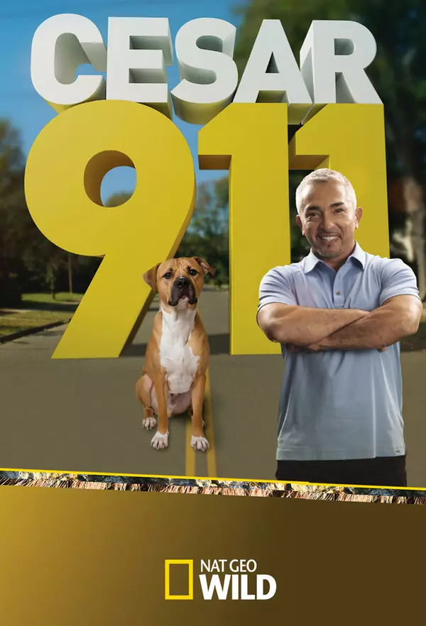 Cesar 911