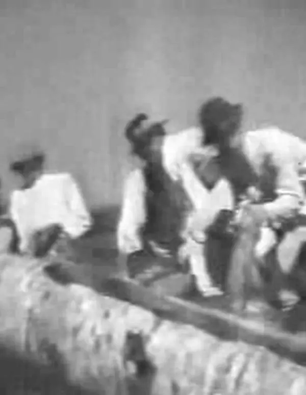 Bukovyna, Ukrainian Land