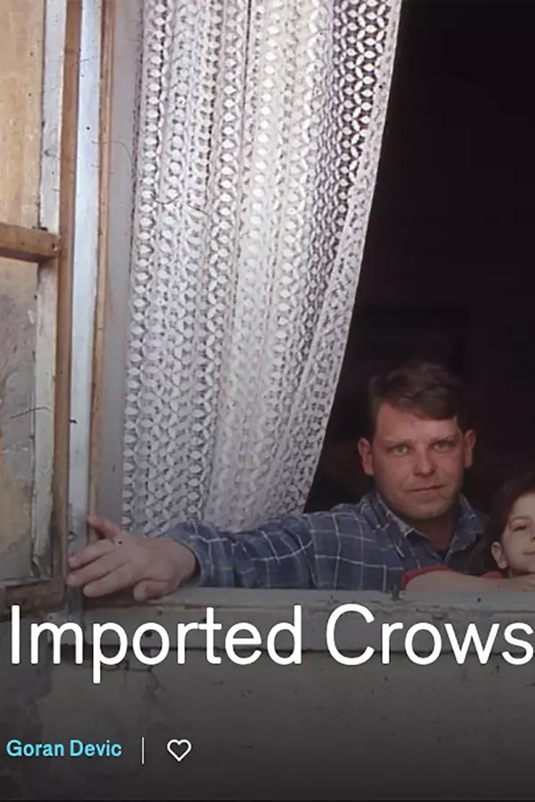 Imported Crows