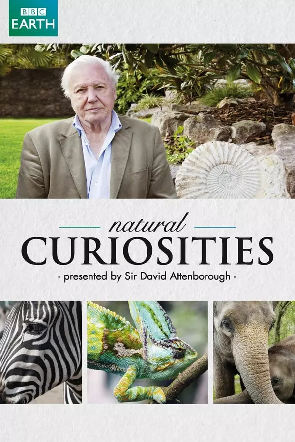 David Attenborough i cuda natury
