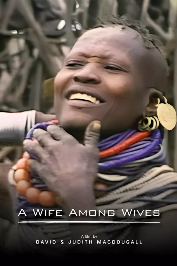 A Wife Among Wives
