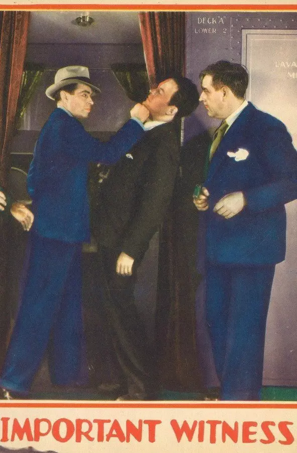 The Important Witness