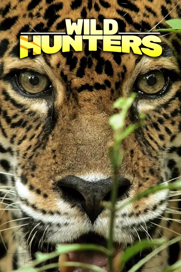 Wild Hunters