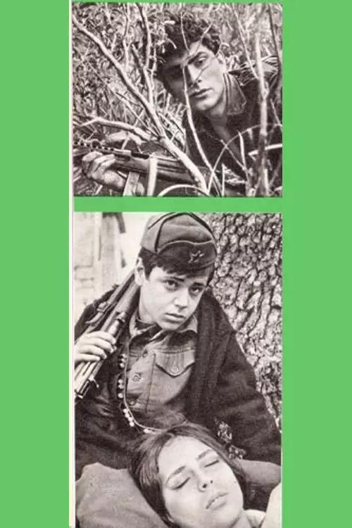 Góry pokryte zielenią