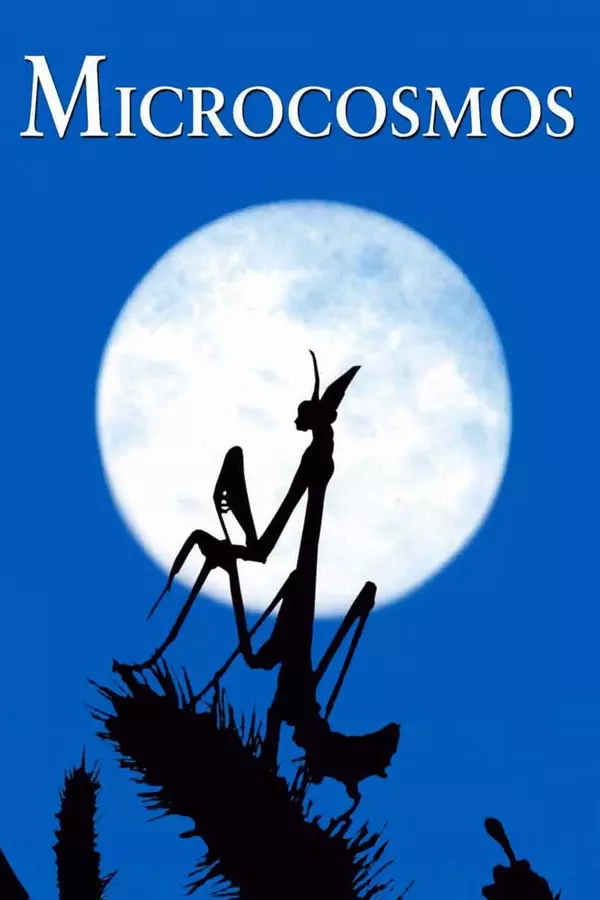 Mikrokosmos