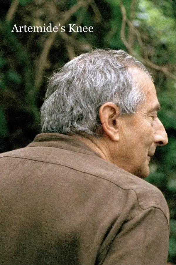 Artemide’s Knee