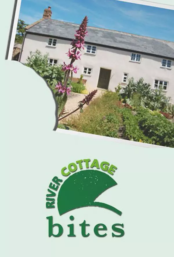 River Cottage Bites