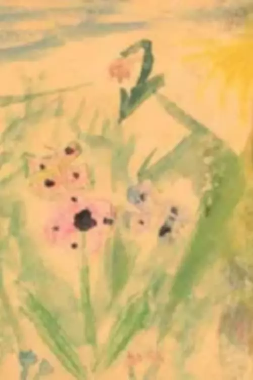 Butterflies Do Not Live Here