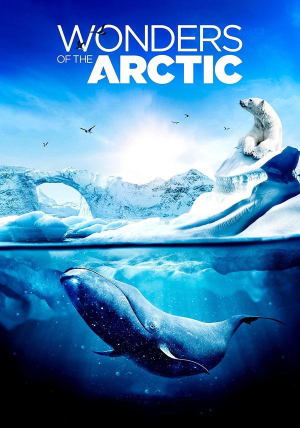Wonders of the Arctic